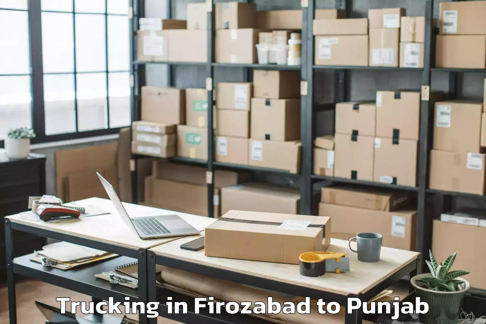 Book Firozabad to Ludhiana West Trucking